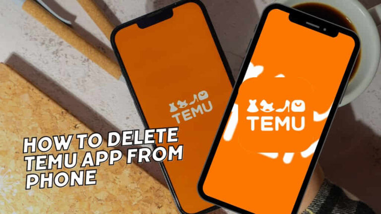 How to Delete Temu App from Phone